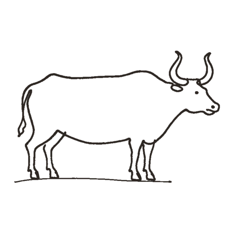 Ox zodiac line art