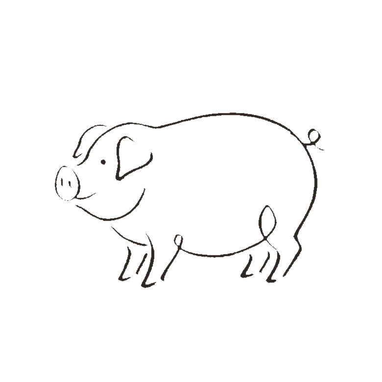 Pig Chinese zodiac line art