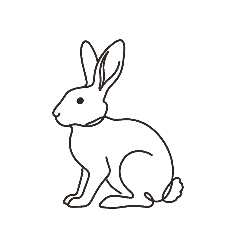 Rabbit zodiac line art