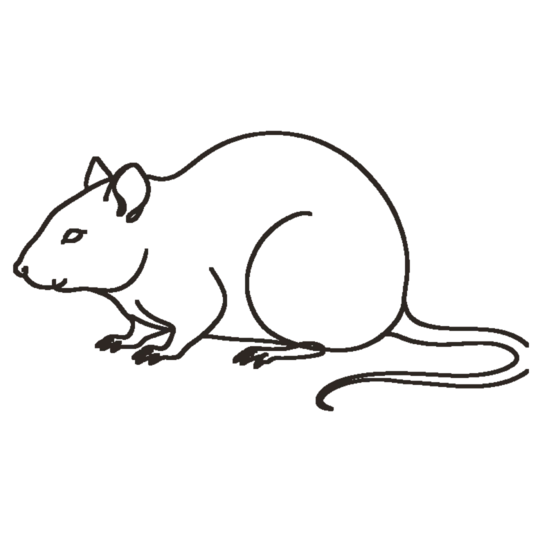 Rat Chinese zodiac line art